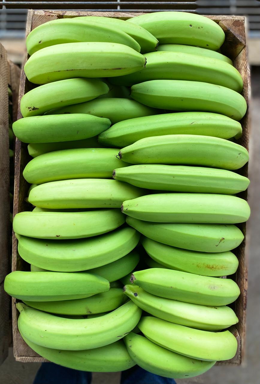 Racimo de banano Cavendish